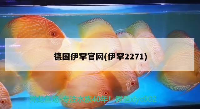 德国伊罕官网(伊罕2271)