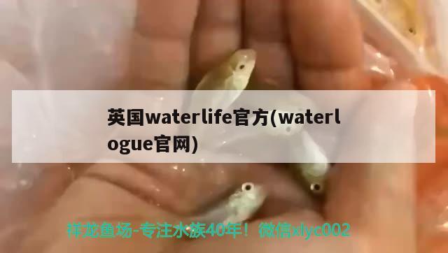 英国waterlife官方(waterlogue官网)