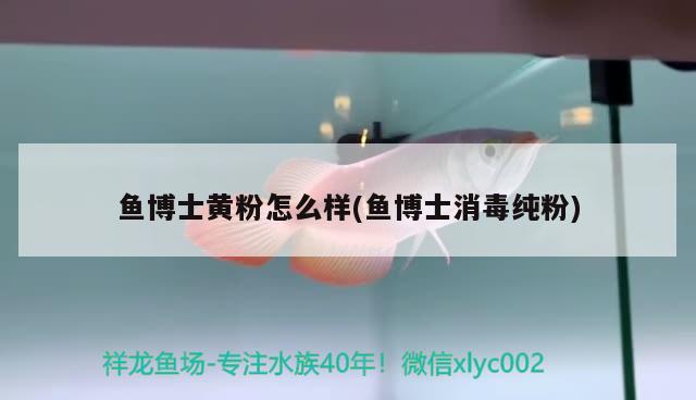 鱼博士黄粉怎么样(鱼博士消毒纯粉) 2024第28届中国国际宠物水族展览会CIPS（长城宠物展2024 CIPS）