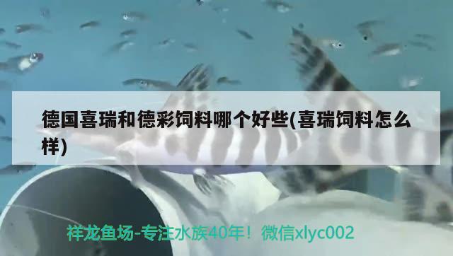 德国喜瑞和德彩饲料哪个好些(喜瑞饲料怎么样) 2024第28届中国国际宠物水族展览会CIPS（长城宠物展2024 CIPS）