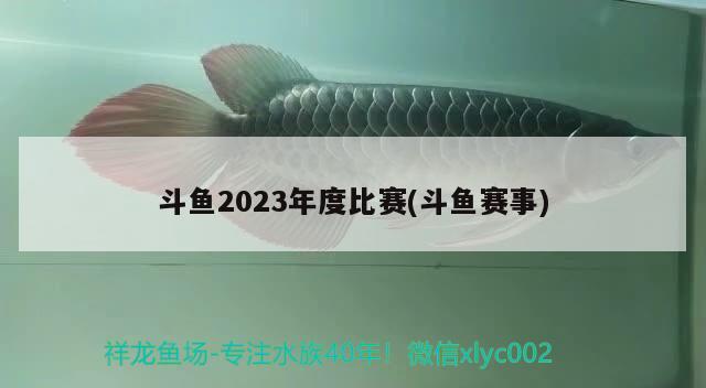 斗鱼2023年度比赛(斗鱼赛事)