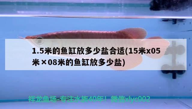 1.5米的鱼缸放多少盐合适(15米x05米×08米的鱼缸放多少盐) 稀有红龙品种