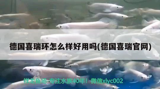 德国喜瑞环怎么样好用吗(德国喜瑞官网) 2024第28届中国国际宠物水族展览会CIPS（长城宠物展2024 CIPS）