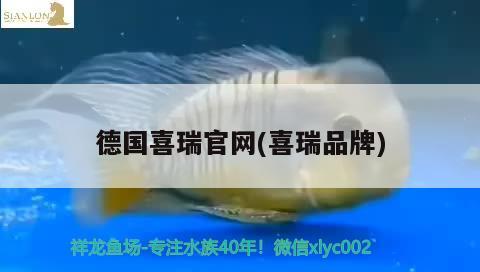 德国喜瑞官网(喜瑞品牌)