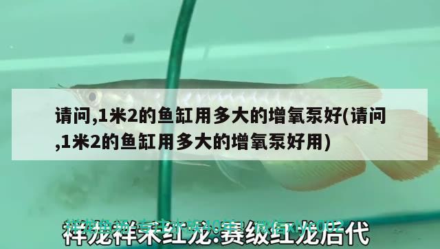 请问,1米2的鱼缸用多大的增氧泵好(请问,1米2的鱼缸用多大的增氧泵好用) 水族用品