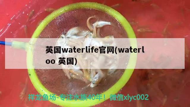 英国waterlife官网(waterloo英国)