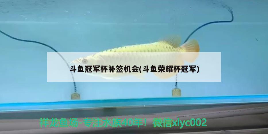 斗鱼冠军杯补签机会(斗鱼荣耀杯冠军) 2024第28届中国国际宠物水族展览会CIPS（长城宠物展2024 CIPS）