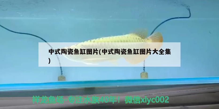 中式陶瓷鱼缸图片(中式陶瓷鱼缸图片大全集) 鱼缸/水族箱 第2张