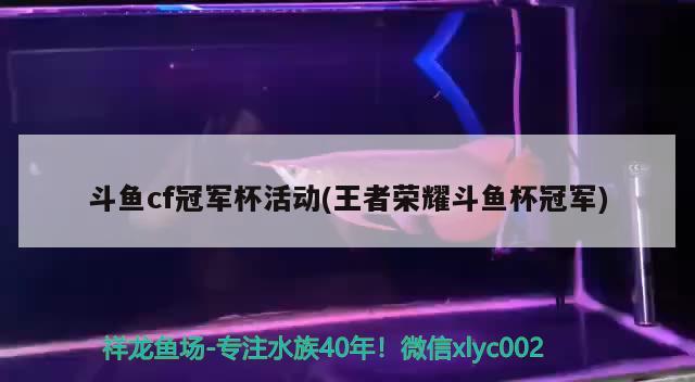 斗鱼cf冠军杯活动(王者荣耀斗鱼杯冠军) 2024第28届中国国际宠物水族展览会CIPS（长城宠物展2024 CIPS）