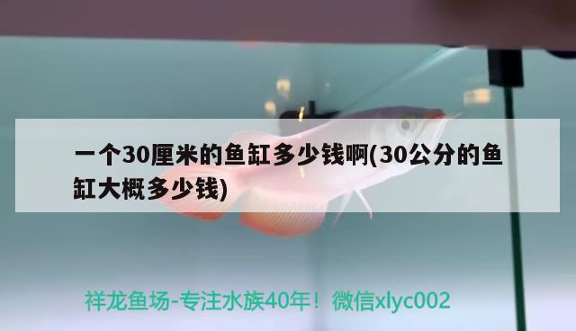 一个30厘米的鱼缸多少钱啊(30公分的鱼缸大概多少钱)