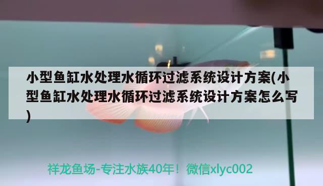 小型鱼缸水处理水循环过滤系统设计方案(小型鱼缸水处理水循环过滤系统设计方案怎么写)