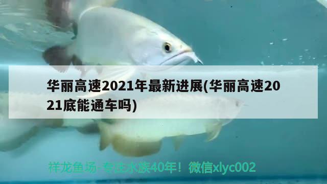 华丽高速2021年最新进展(华丽高速2021底能通车吗)