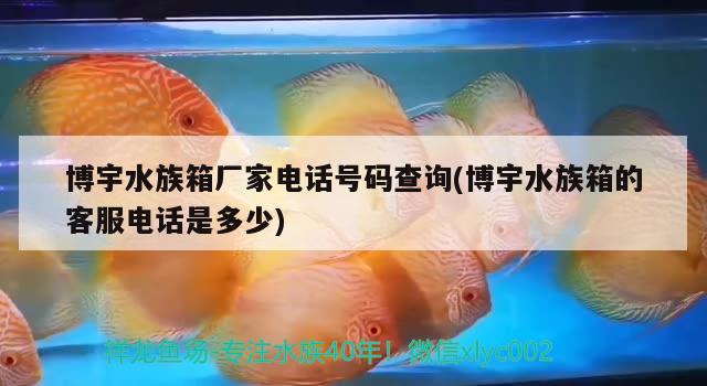 博宇水族箱厂家电话号码查询(博宇水族箱的客服电话是多少)