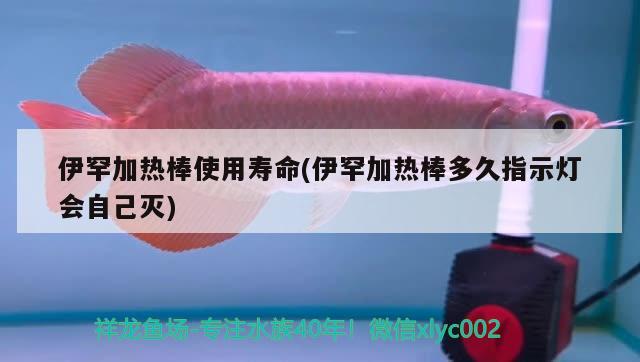 伊罕加热棒使用寿命(伊罕加热棒多久指示灯会自己灭) 伊罕水族