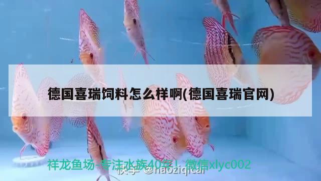 德国喜瑞饲料怎么样啊(德国喜瑞官网) 2024第28届中国国际宠物水族展览会CIPS（长城宠物展2024 CIPS）