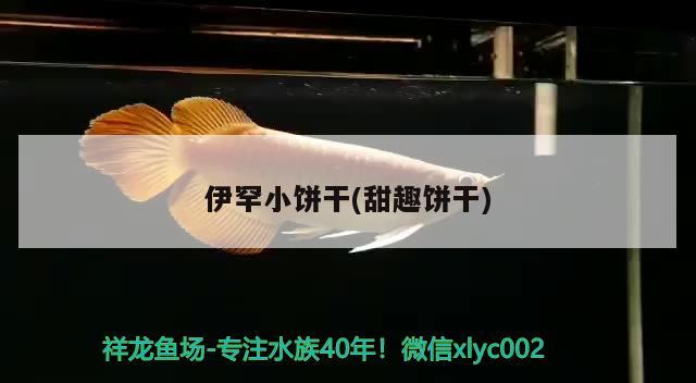 伊罕小饼干(甜趣饼干) 伊罕水族