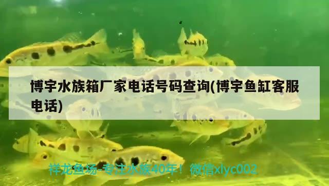 博宇水族箱厂家电话号码查询(博宇鱼缸客服电话)