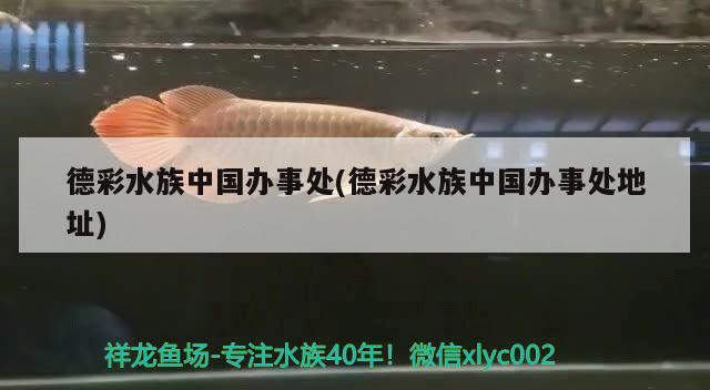 德彩水族中国办事处(德彩水族中国办事处地址) 2024第28届中国国际宠物水族展览会CIPS（长城宠物展2024 CIPS）