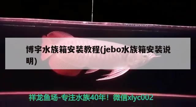 博宇水族箱安装教程(jebo水族箱安装说明) 鱼缸/水族箱 第1张