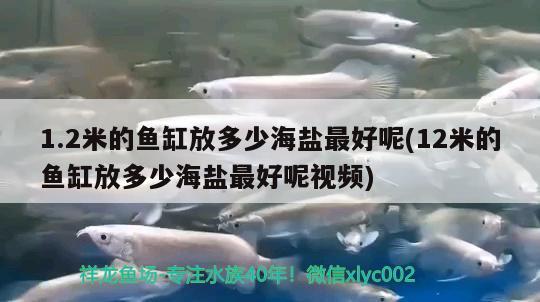 1.2米的鱼缸放多少海盐最好呢(12米的鱼缸放多少海盐最好呢视频)