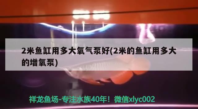 2米鱼缸用多大氧气泵好(2米的鱼缸用多大的增氧泵) 眼斑鱼