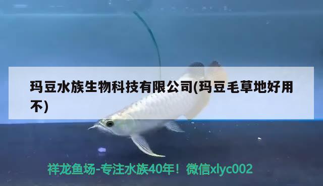 玛豆水族生物科技有限公司(玛豆毛草地好用不) 2024第28届中国国际宠物水族展览会CIPS（长城宠物展2024 CIPS）