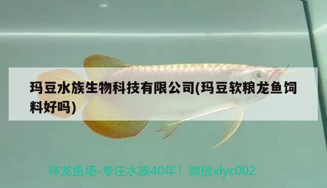 玛豆水族生物科技有限公司(玛豆软粮龙鱼饲料好吗)