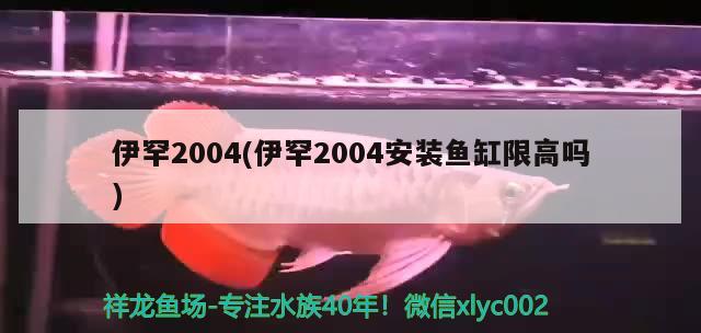 伊罕2004(伊罕2004安装鱼缸限高吗)