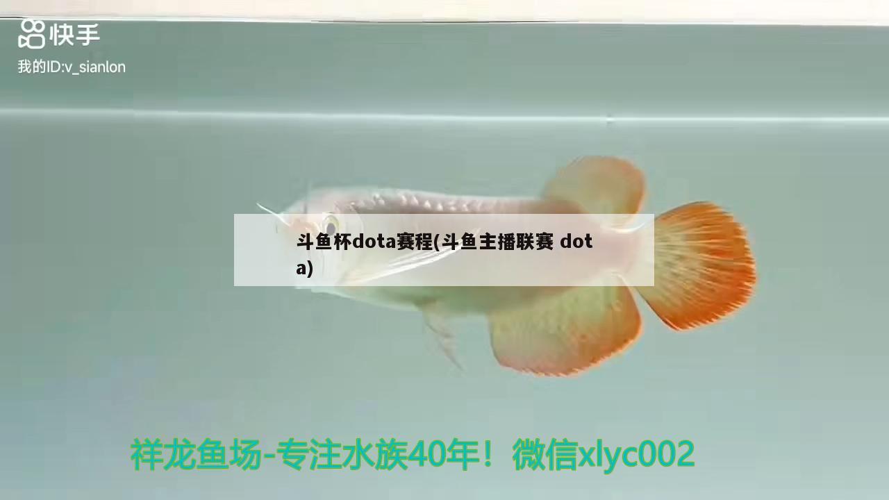 斗鱼杯dota赛程(斗鱼主播联赛dota) 2024第28届中国国际宠物水族展览会CIPS（长城宠物展2024 CIPS）