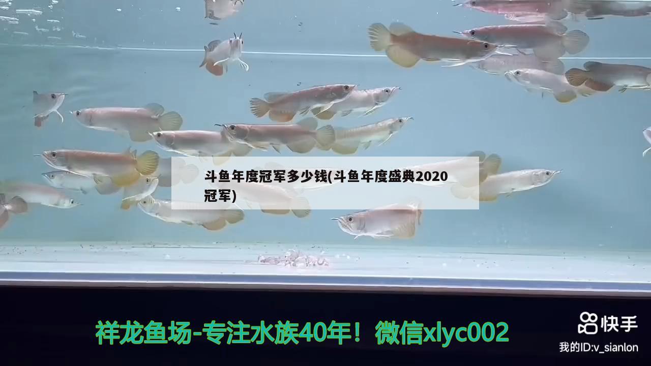 斗鱼年度冠军多少钱(斗鱼年度盛典2020冠军)