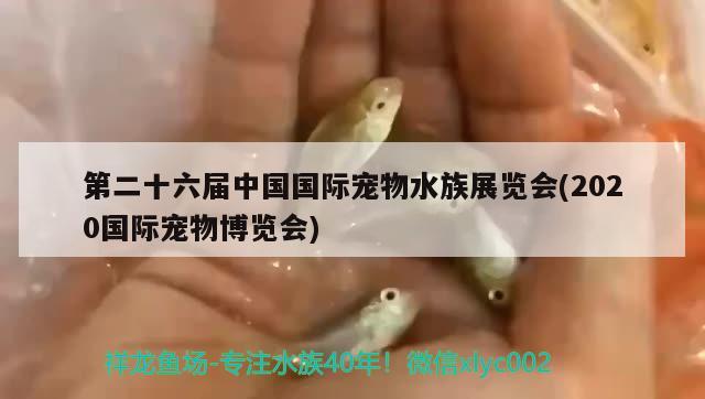 第二十六届中国国际宠物水族展览会(2020国际宠物博览会)