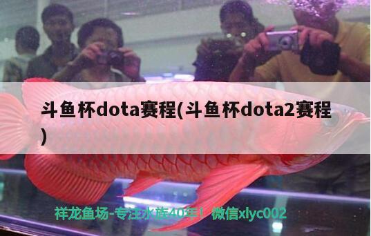 斗鱼杯dota赛程(斗鱼杯dota2赛程)