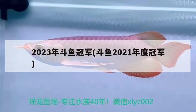 2023年斗鱼冠军(斗鱼2021年度冠军) 2024第28届中国国际宠物水族展览会CIPS（长城宠物展2024 CIPS） 第2张