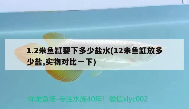 1.2米鱼缸要下多少盐水(12米鱼缸放多少盐,实物对比一下) 银龙鱼 第2张