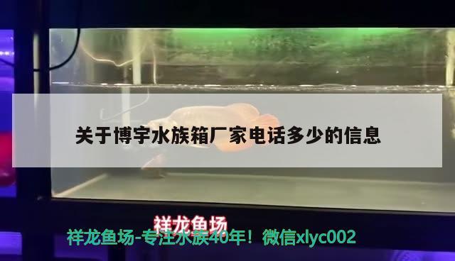 关于博宇水族箱厂家电话多少的信息 鱼缸/水族箱