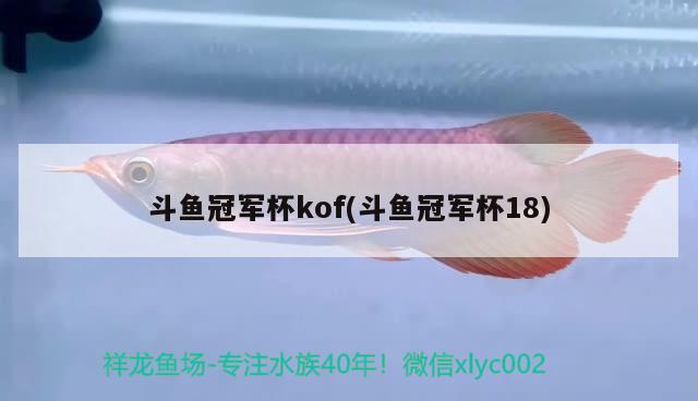 斗鱼冠军杯kof(斗鱼冠军杯18) 2024第28届中国国际宠物水族展览会CIPS（长城宠物展2024 CIPS）