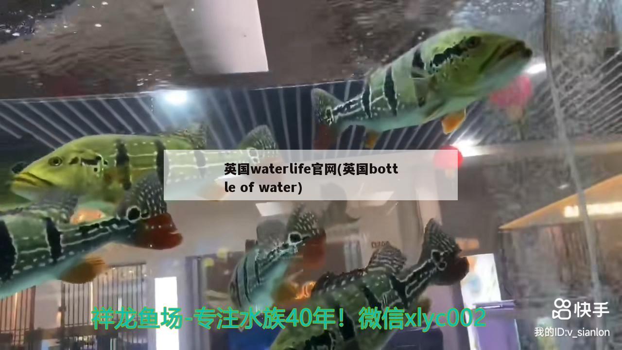 英国waterlife官网(英国bottleofwater)