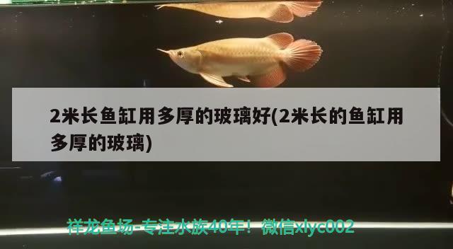 2米长鱼缸用多厚的玻璃好(2米长的鱼缸用多厚的玻璃) 和尚鱼