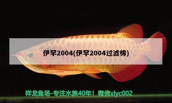 伊罕2004(伊罕2004过滤棉)