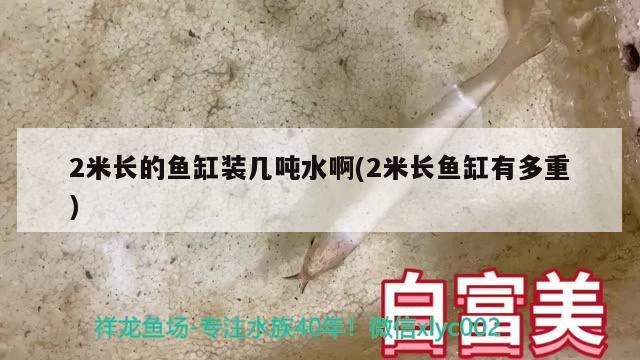 2米长的鱼缸装几吨水啊(2米长鱼缸有多重) 红尾平克鱼