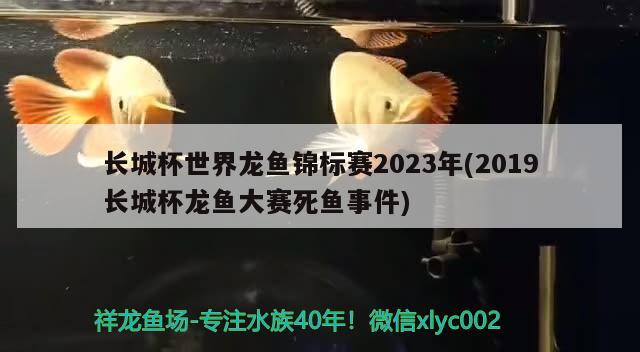 长城杯世界龙鱼锦标赛2023年(2019长城杯龙鱼大赛死鱼事件)