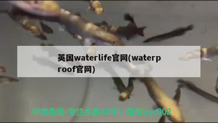 英国waterlife官网(waterproof官网)