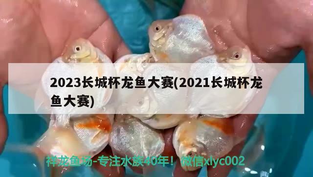 2023长城杯龙鱼大赛(2021长城杯龙鱼大赛)