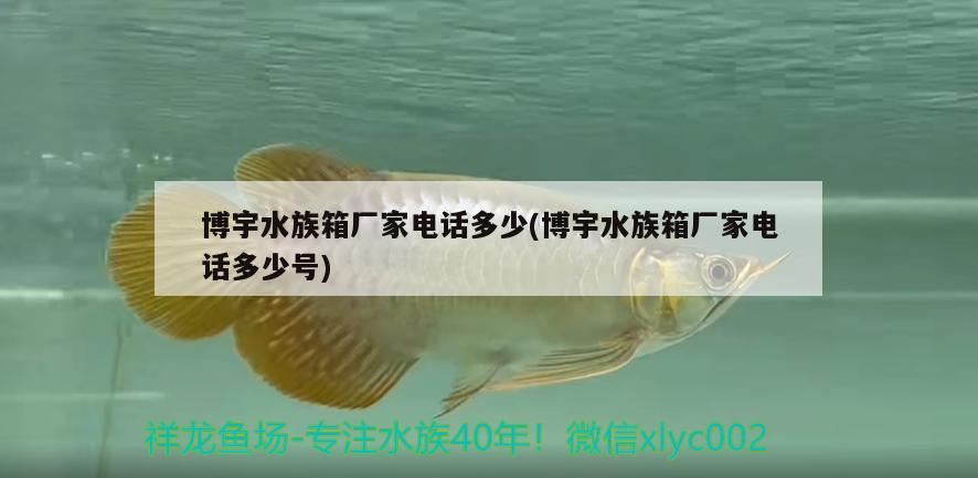 博宇水族箱厂家电话多少(博宇水族箱厂家电话多少号)