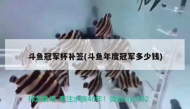 斗鱼冠军杯补签(斗鱼年度冠军多少钱) 2024第28届中国国际宠物水族展览会CIPS（长城宠物展2024 CIPS）