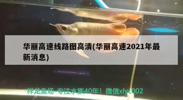 华丽高速线路图高清(华丽高速2021年最新消息) 观赏鱼