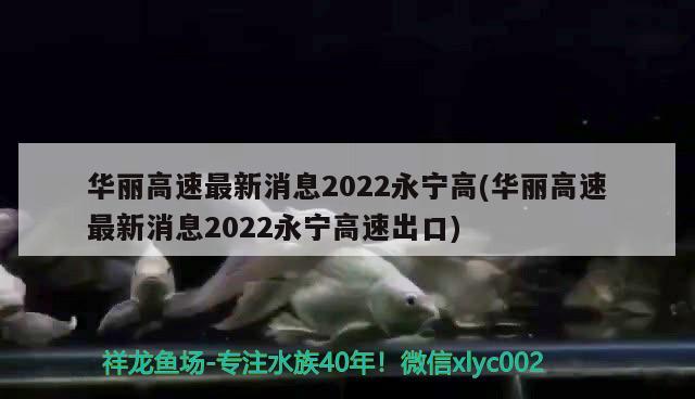 华丽高速最新消息2022永宁高(华丽高速最新消息2022永宁高速出口)