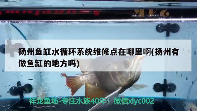 扬州鱼缸水循环系统维修点在哪里啊(扬州有做鱼缸的地方吗) 金龙福龙鱼