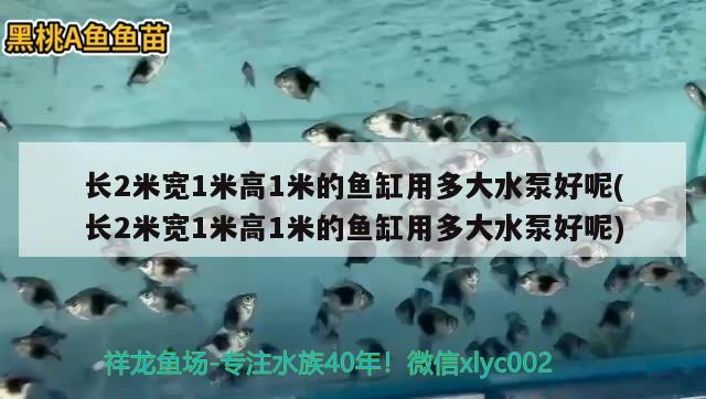 长2米宽1米高1米的鱼缸用多大水泵好呢(长2米宽1米高1米的鱼缸用多大水泵好呢) 女王大帆鱼