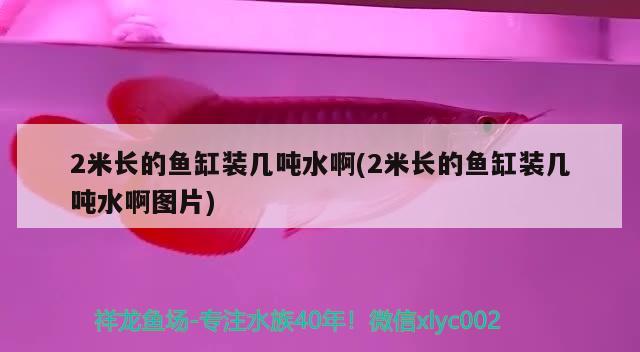 2米长的鱼缸装几吨水啊(2米长的鱼缸装几吨水啊图片) 委内瑞拉奥里诺三间鱼苗